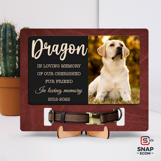Personalized Pet Memorial Collar Frame – MP49