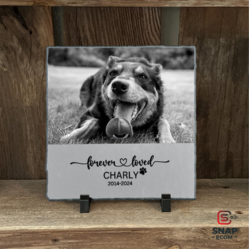 Personalized Square Pet Memorial Granite Stone