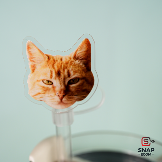 Personalized Standley Straw Topper